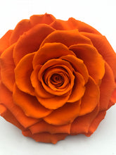 Acrylic Rose